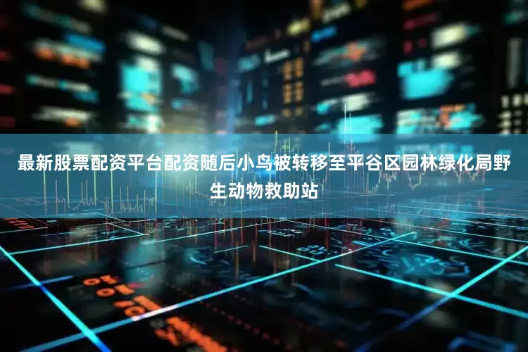 最新股票配资平台配资随后小鸟被转移至平谷区园林绿化局野生动物救助站