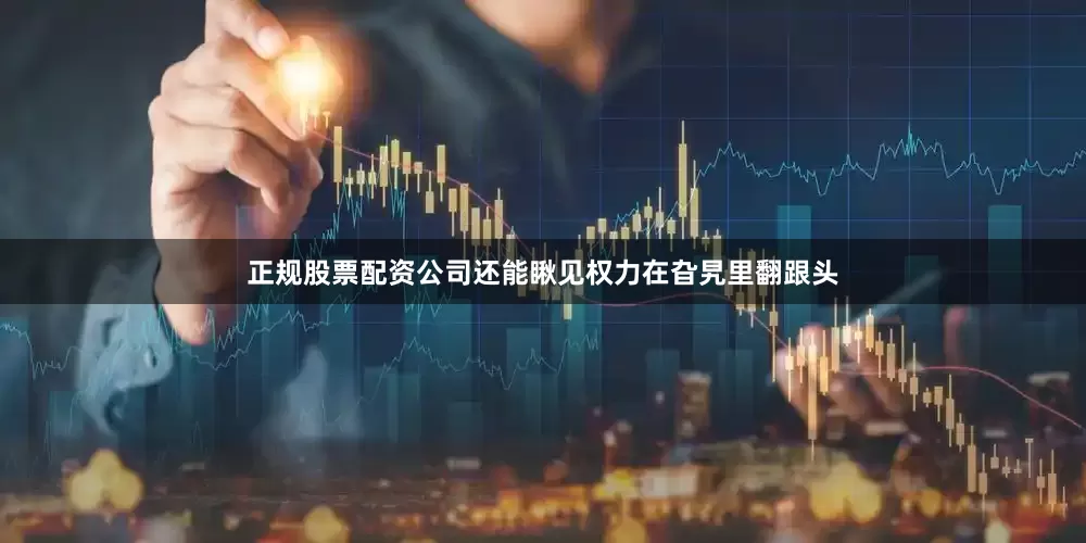 正规股票配资公司还能瞅见权力在旮旯里翻跟头