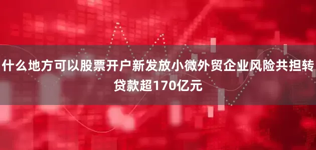 什么地方可以股票开户新发放小微外贸企业风险共担转贷款超170亿元