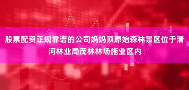 股票配资正规靠谱的公司妈妈顶原始森林景区位于清河林业局茂林林场施业区内