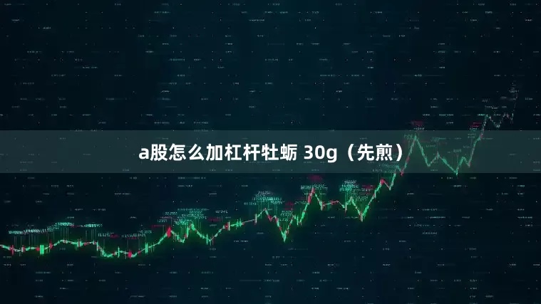 a股怎么加杠杆牡蛎 30g（先煎）
