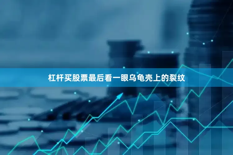杠杆买股票最后看一眼乌龟壳上的裂纹